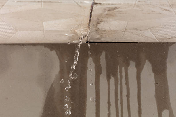 Professional Structural Drying technician working in Pledger, TX